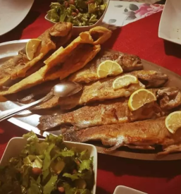 Ribja restavracija brezice dolenjska