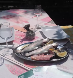 Ribja restavracija brezice dolenjska