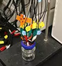 Tehnicno svetovanje elektroinstalacije koroska