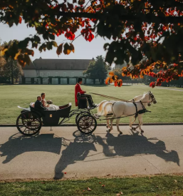Dober porocni fotograf slovenija