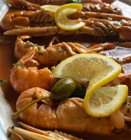 Morske jedi Novo mesto