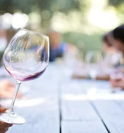 Dobra vina pesnica pri mariboru