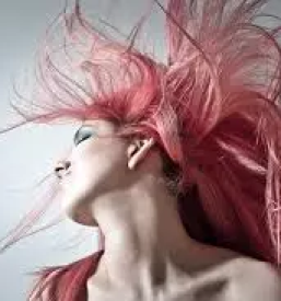 Frizerski salon zagorje ob savi