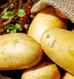 Hitra dostava domace hrane na dom slovenija