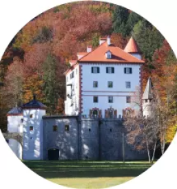 Opazovanje medveda Loška dolina, Slovenija