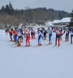 Organizacija kulturnih in turističnih prireditev Loška dolina