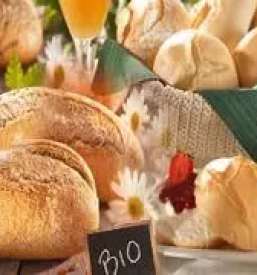 Proizvodnja in prodaja pekovskih izdelkov celje