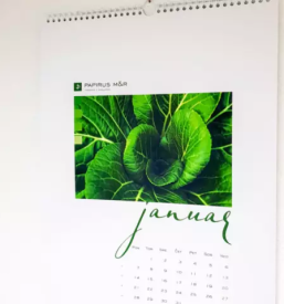 Tisk koledarjev notranjska