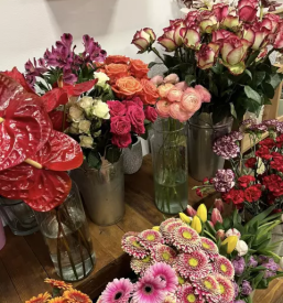 ugodna cvetličarna v trbovljah