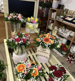 Cvetličarna v trbovljah vredna obiska