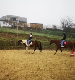 Jež konj za otroke Rogašovci