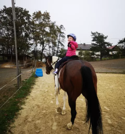 Jahanje za otroke Rogašovci