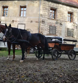 Jahanje za otroke cenik