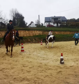 Jahanje konj na ranču Rogašovci