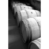 VINOGRADNIŠTVO GOLČER ANTON