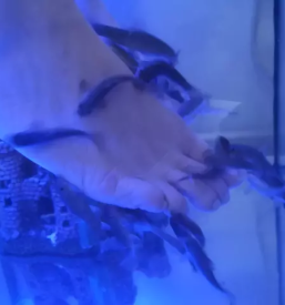 Nega nog z ribicami maribor