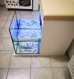 Nohtne proteze maribor