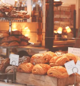 Slascicarna borovnica