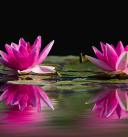 Kvalitetno svetovanje na področju osebnostne rasti