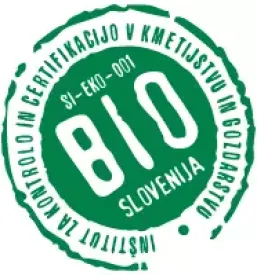 Ugodne jagode osrednja slovenija