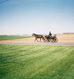 Voznja s kocijo pomurje