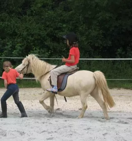 Voznja s kocijo pomurje