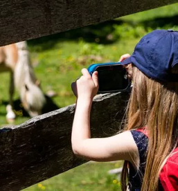 Voznja s kocijo pomurje