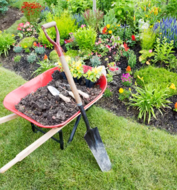 Urejanje okolice Zasavje