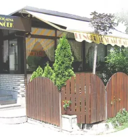 Domaci sladoled osrednja slovenija