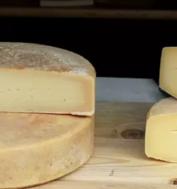 Kvaliteten kozji sir kras