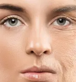 Nega obraza vic ljubljana