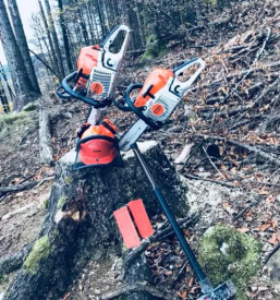 Secnja spravilo lesa bohinj bled