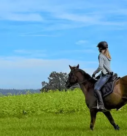 Terensko jahanje pomurje