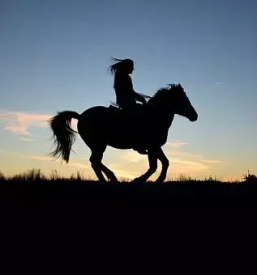 Terensko jahanje pomurje