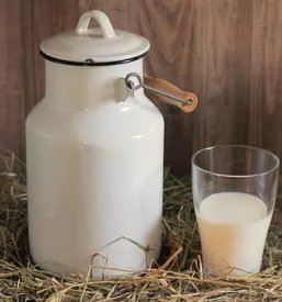 Domace kozje mleko savinjska