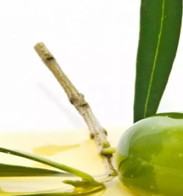 Domače oljčno olje Škofije