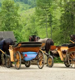 Izdelava in obnova kocij gorenjska
