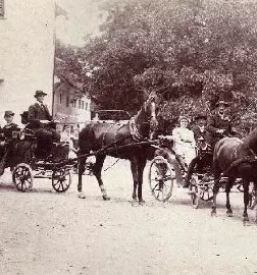 Izdelava in obnova kocij gorenjska