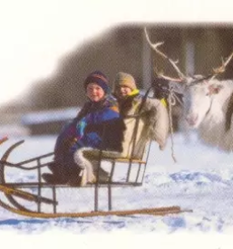 Izdelava in obnova kocij gorenjska
