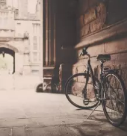 Kvaliteten servis koles ljubljana okolica