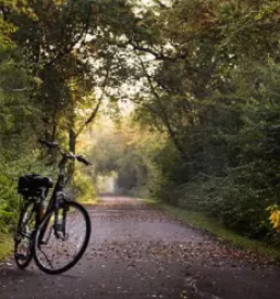 Kvaliteten servis koles ljubljana okolica