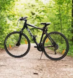 Kvaliteten servis koles ljubljana okolica