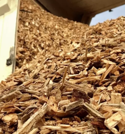 Odkup rezanega lesa savinjska