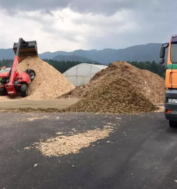Prodaja lesne biomase slovenija