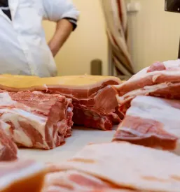Prodaja mesnin na tržnici Škofja Loka