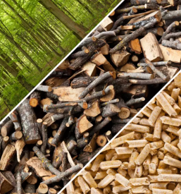 Proizvodnja biomase slovenija