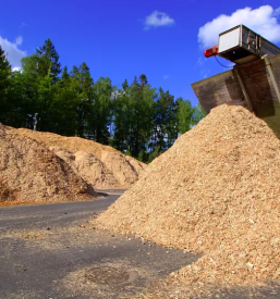 Proizvodnja biomase slovenija