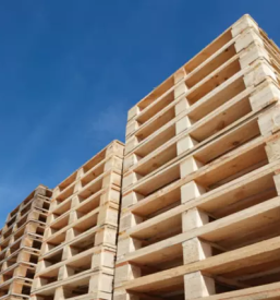 Razrez lesa savinjska