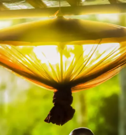 Reiki in theta healing zdravljenje