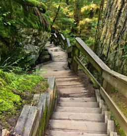 Reiki in theta healing zdravljenje